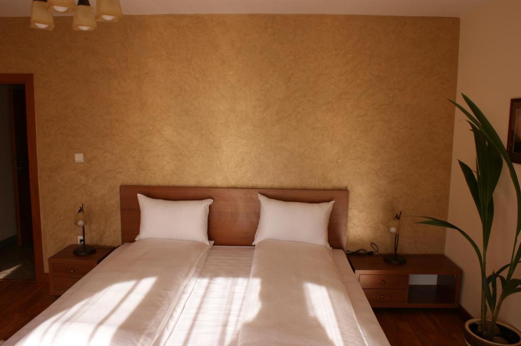 Pensiunea Normandia Timisoara Room photo